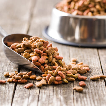 Grain Free Dog Food