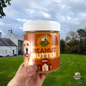 Peanut Butter 340g