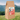 FORRESTERS Grain Free Small Breed Adult Chicken with Sweet Potato and Herbs