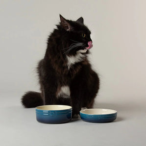 Scruffs® Ombre Bowls
