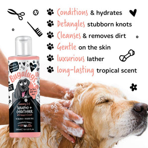 Bugalugs Luxury 2 in 1 Papaya and Coconut Shampoo