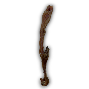 Beef Tendons